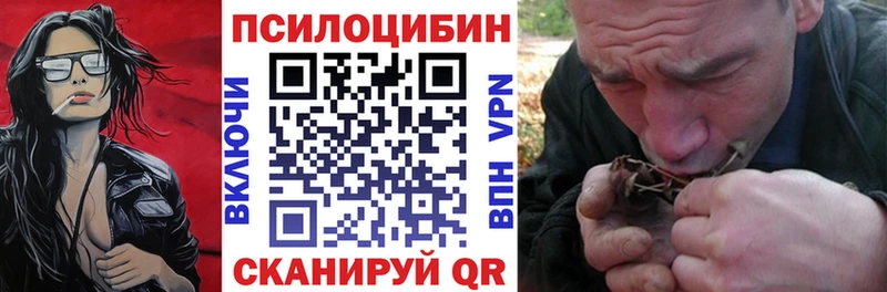 закладка  Пущино  Галлюциногенные грибы Psilocybe 